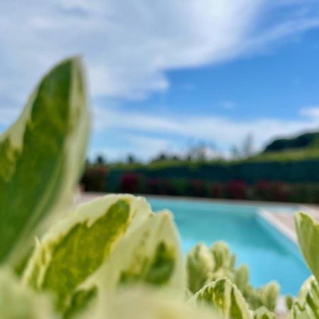 Vigneto - Italian Restaurant & B&B Villa Rosa Di Martinsicuro Екстериор снимка