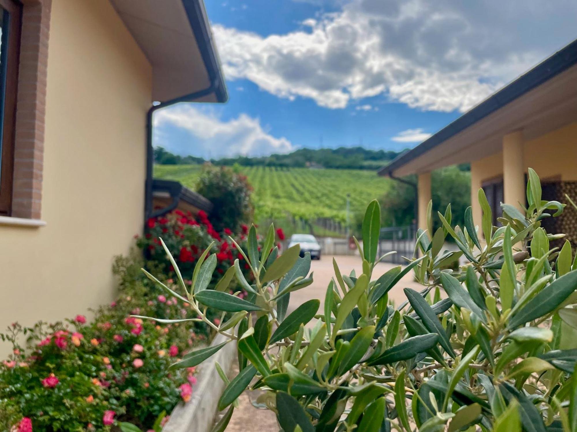 Vigneto - Italian Restaurant & B&B Villa Rosa Di Martinsicuro Екстериор снимка