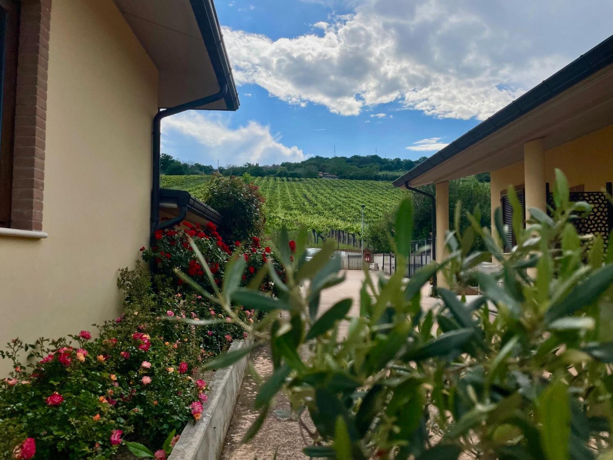 Vigneto - Italian Restaurant & B&B Villa Rosa Di Martinsicuro Екстериор снимка